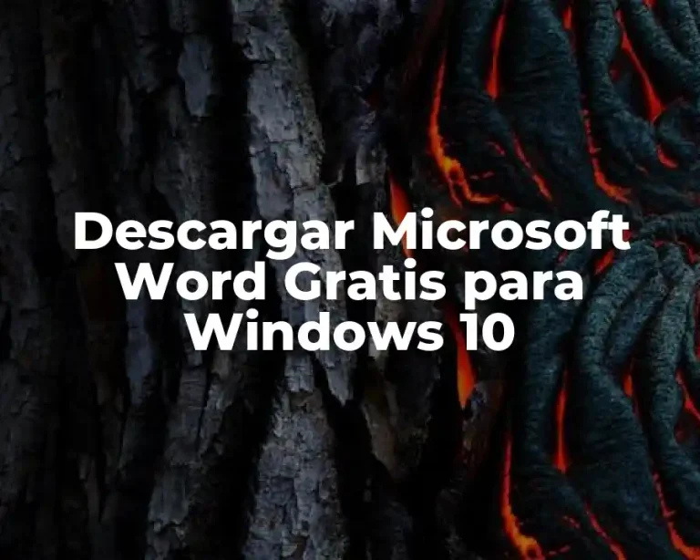 Descargar Microsoft Word Gratis para Windows 10