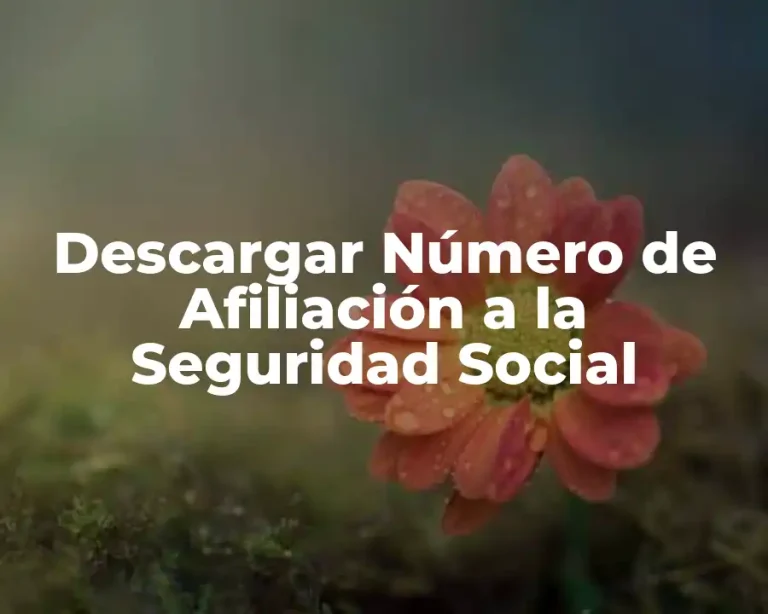 Descargar Número de Afiliación a la Seguridad Social