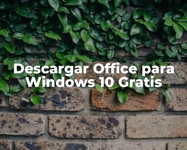 Descargar Office para Windows 10 Gratis