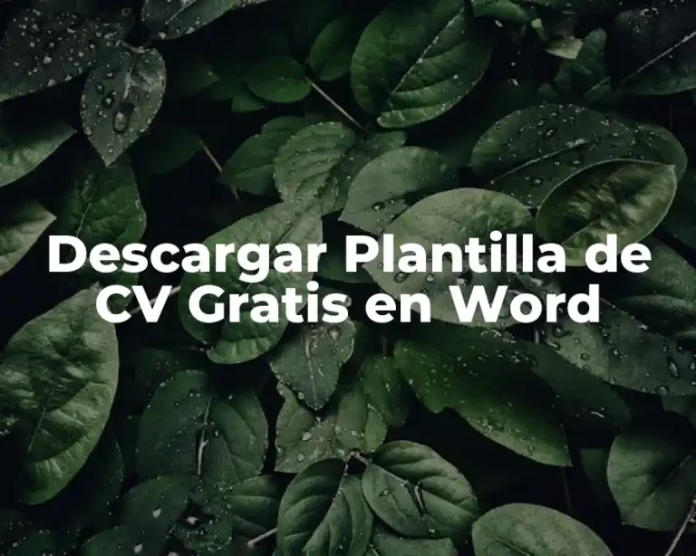Descargar Plantilla de CV Gratis en Word