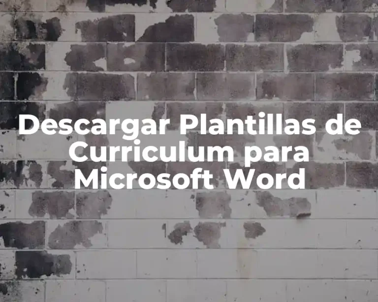 Descargar Plantillas de Curriculum para Microsoft Word