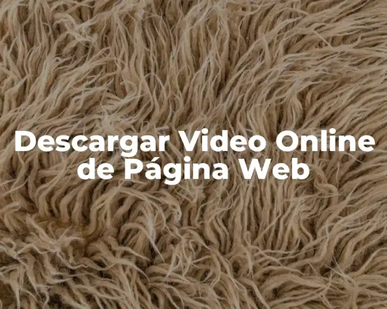 Descargar Video Online de Página Web