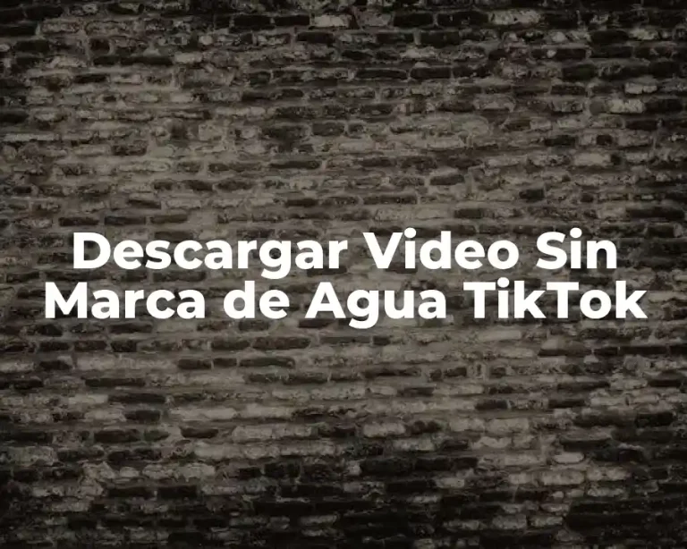 Descargar Video Sin Marca de Agua TikTok