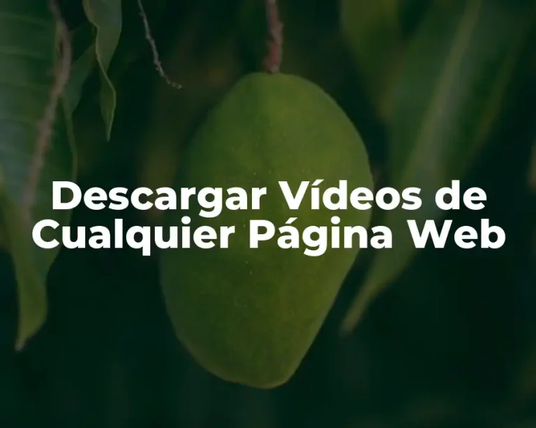 Descargar Vídeos de Cualquier Página Web