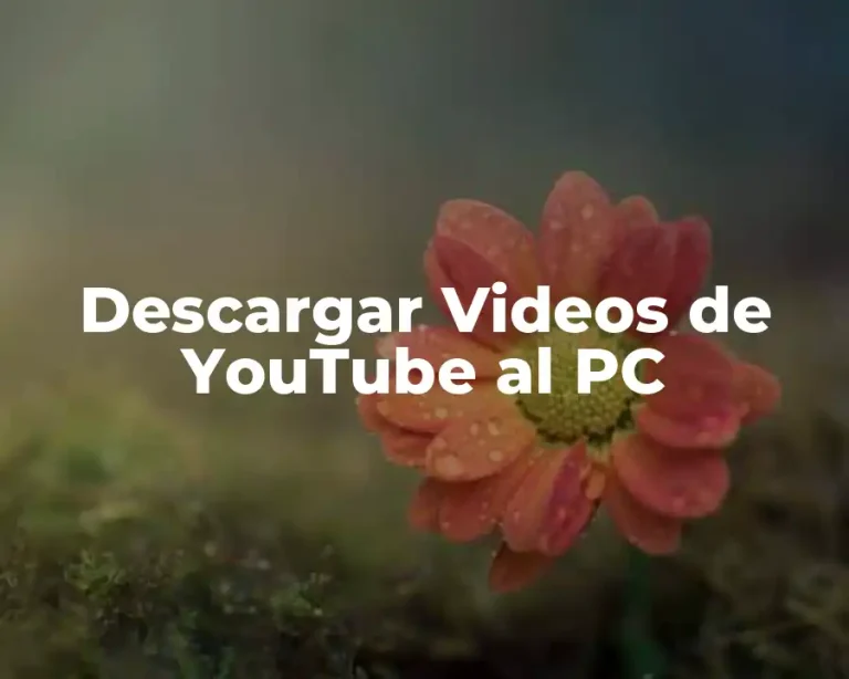 Descargar Videos de YouTube al PC