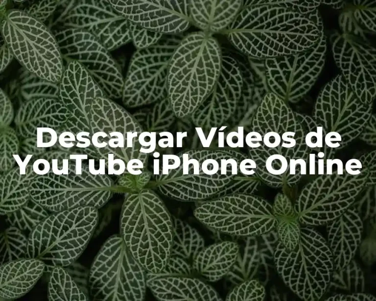 Descargar Vídeos de YouTube iPhone Online