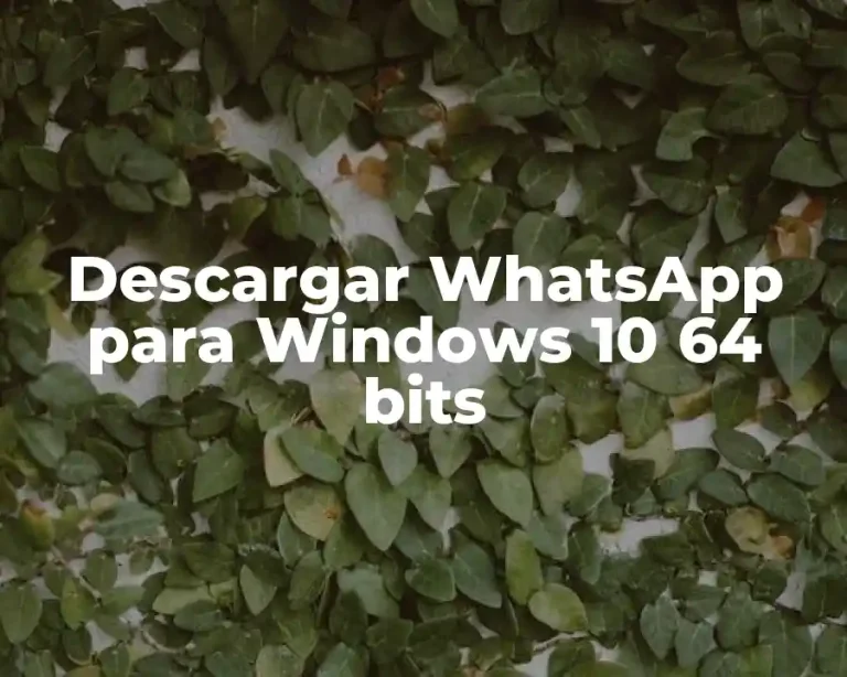 Descargar WhatsApp para Windows 10 64 bits