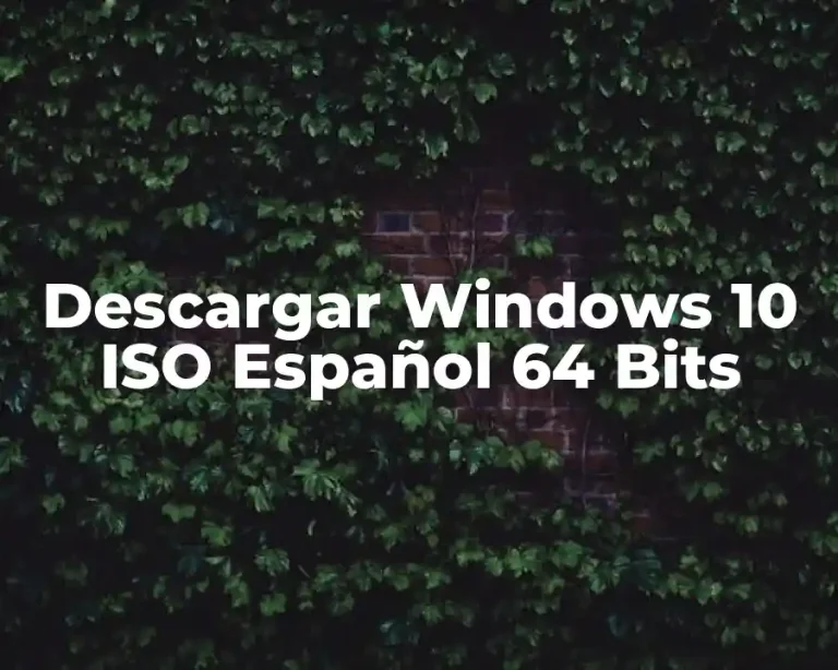 Descargar Windows 10 ISO Español 64 Bits