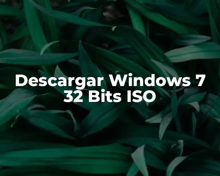 Descargar Windows 7 32 Bits ISO