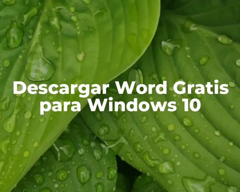 Descargar Word Gratis para Windows 10