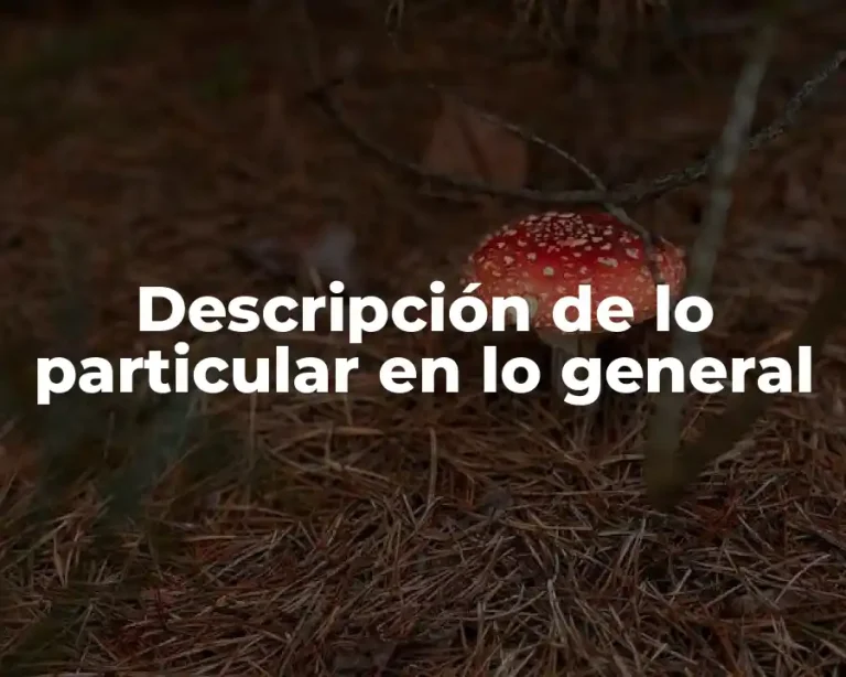 Descripción de lo particular en lo general