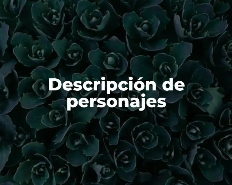 Descripción de personajes
