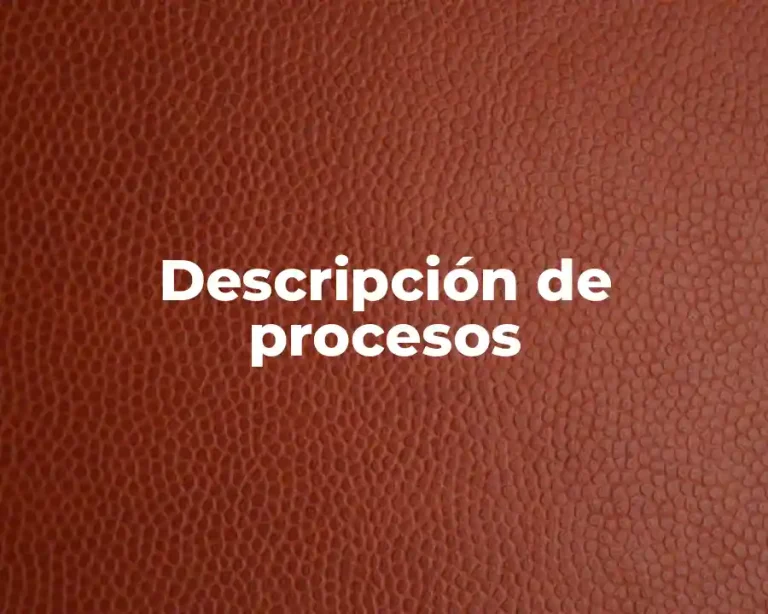 Descripción de procesos