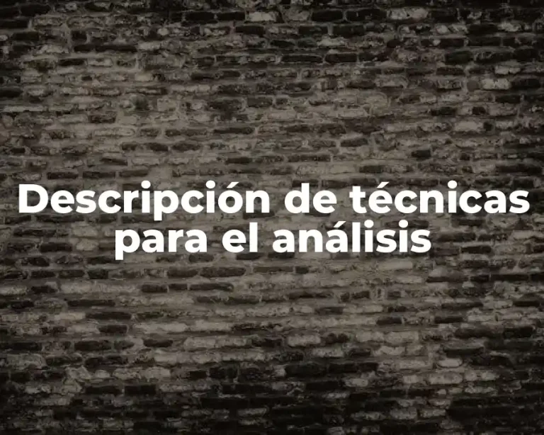 Descripción de técnicas para el análisis