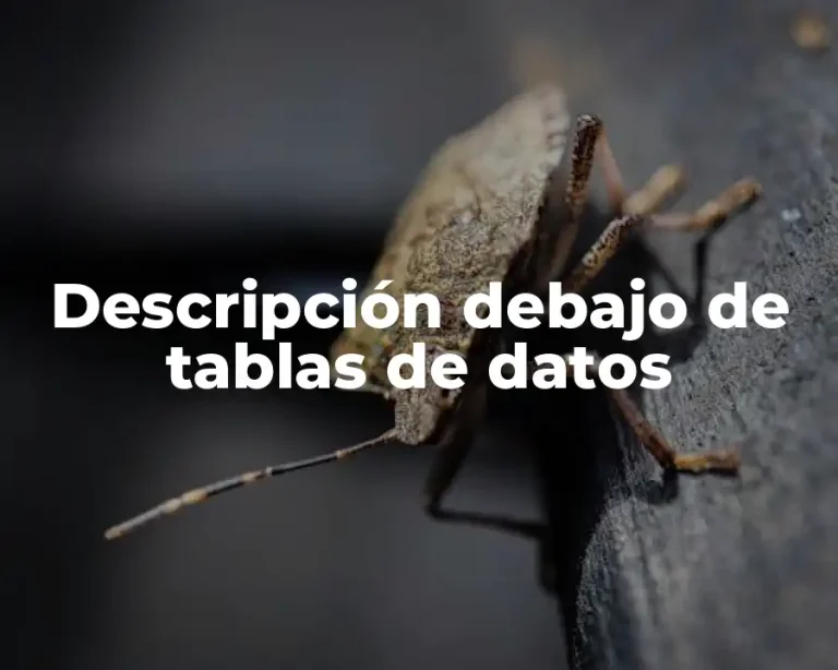 Descripción debajo de tablas de datos