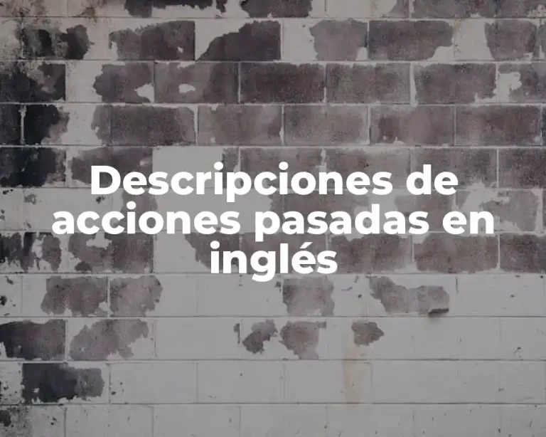 Descripciones de acciones pasadas en inglés