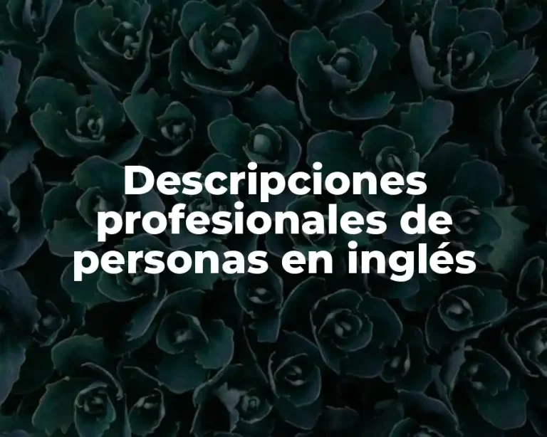 Descripciones profesionales de personas en inglés