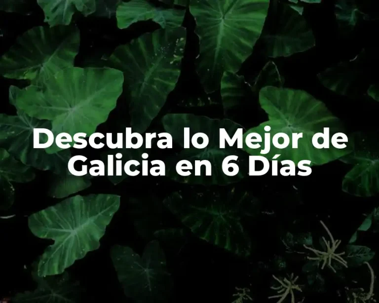 Descubra lo Mejor de Galicia en 6 Días