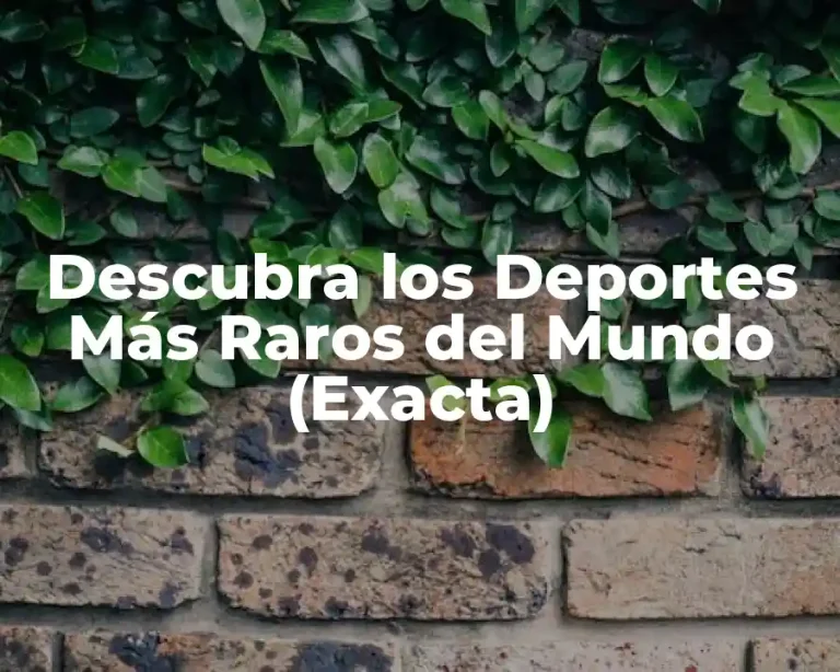 Descubra los Deportes Más Raros del Mundo (Exacta)