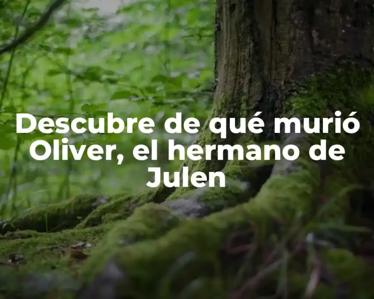 Descubre de qué murió Oliver, el hermano de Julen