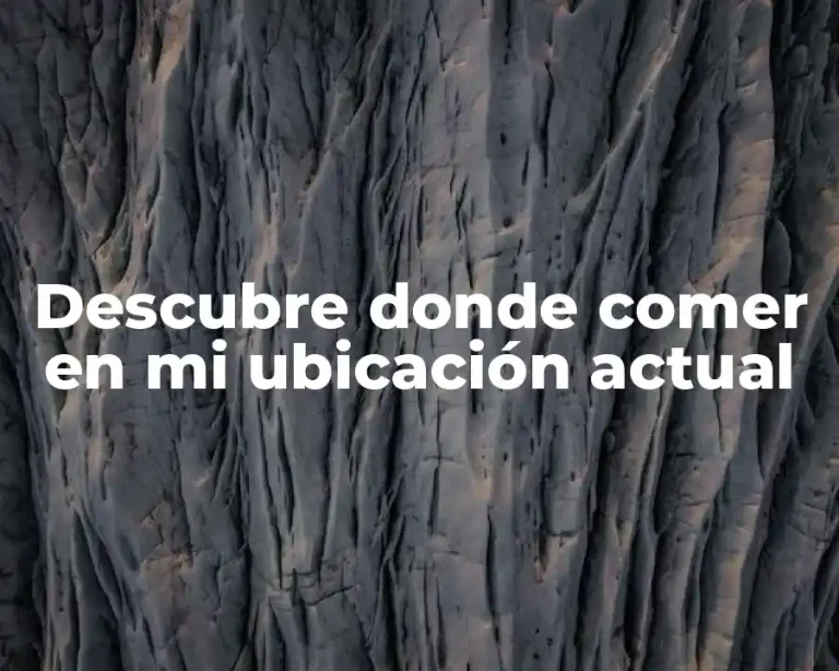 Descubre donde comer en mi ubicación actual