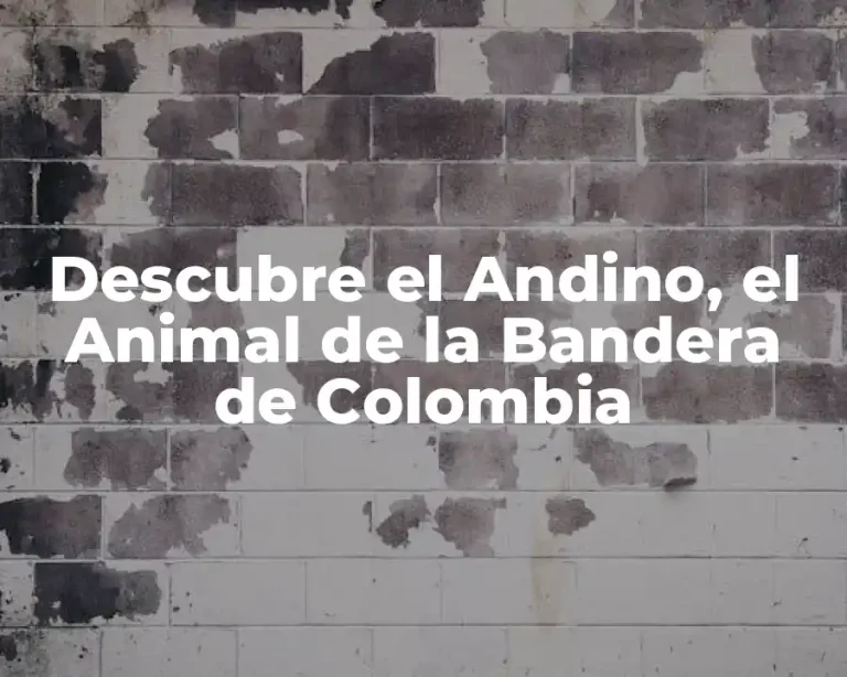 Descubre el Andino, el Animal de la Bandera de Colombia