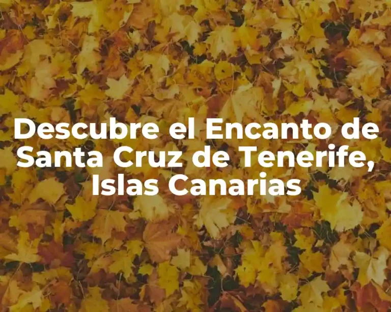 Descubre el Encanto de Santa Cruz de Tenerife, Islas Canarias