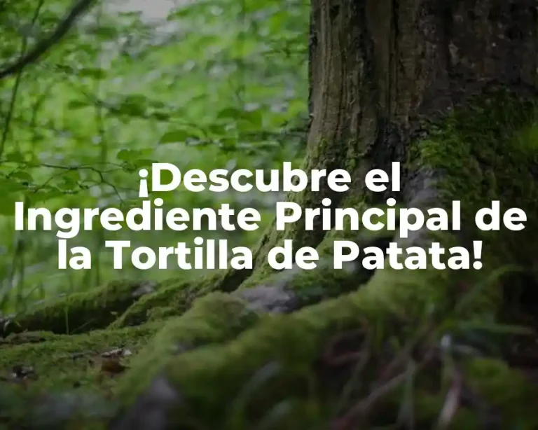 ¡Descubre el Ingrediente Principal de la Tortilla de Patata!