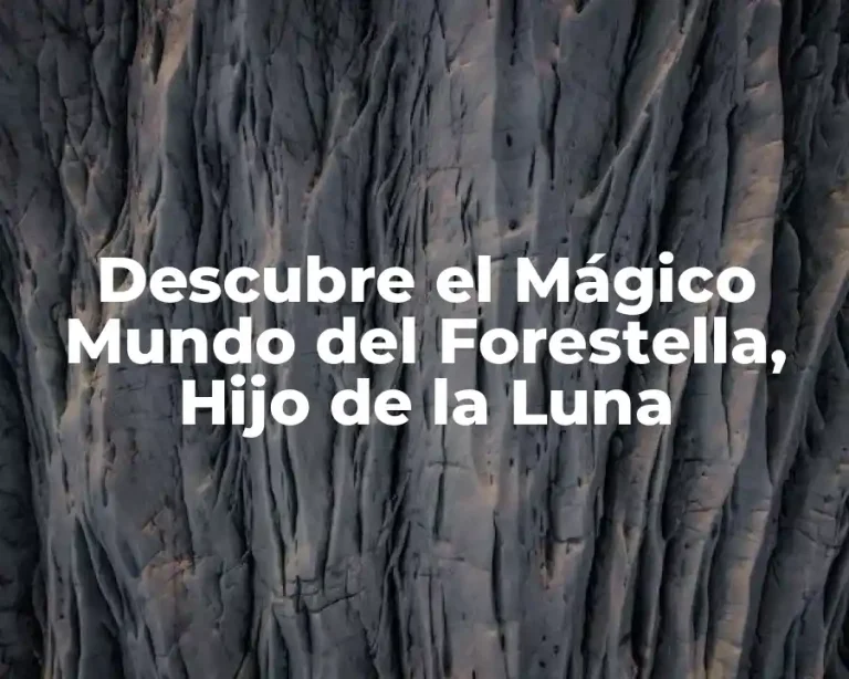 Descubre el Mágico Mundo del Forestella, Hijo de la Luna