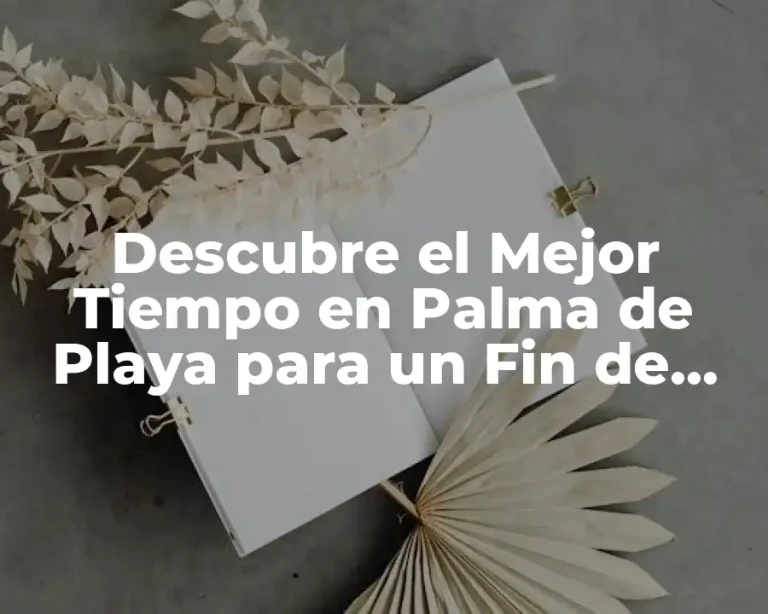 Descubre el Mejor Tiempo en Palma de Playa para un Fin de Semana Inolvidable