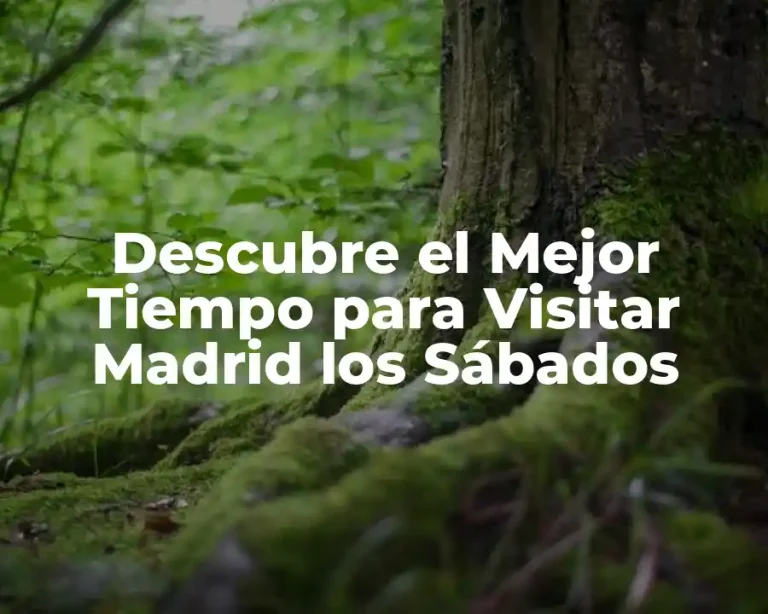 Descubre el Mejor Tiempo para Visitar Madrid los Sábados