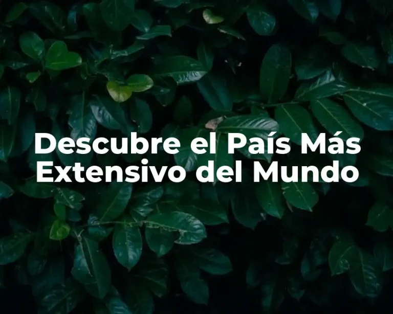 Descubre el País Más Extensivo del Mundo