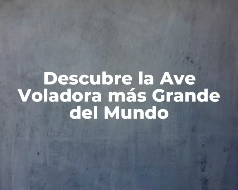 Descubre la Ave Voladora más Grande del Mundo