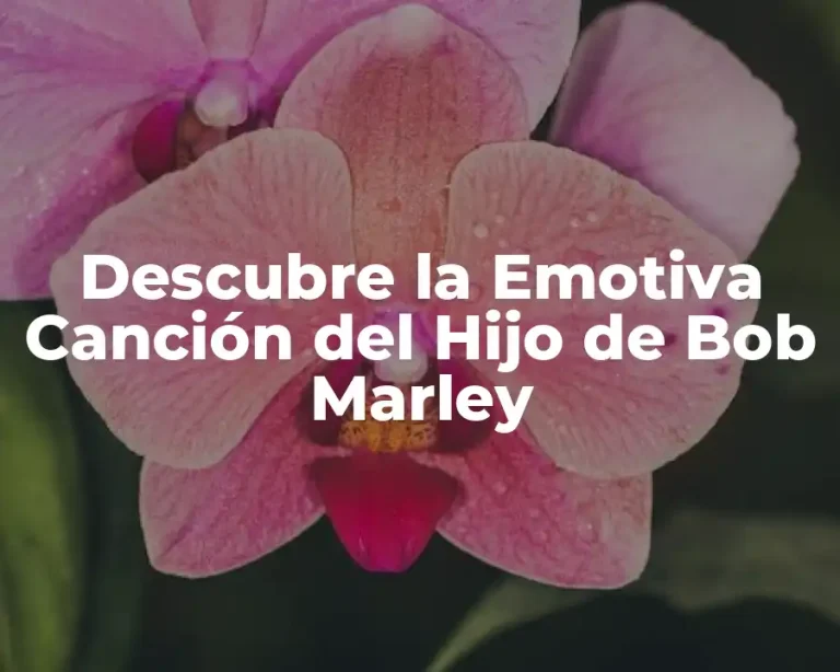Descubre la Emotiva Canción del Hijo de Bob Marley