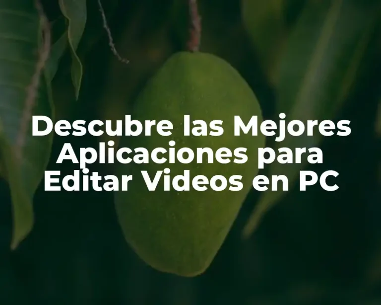 Descubre las Mejores Aplicaciones para Editar Videos en PC