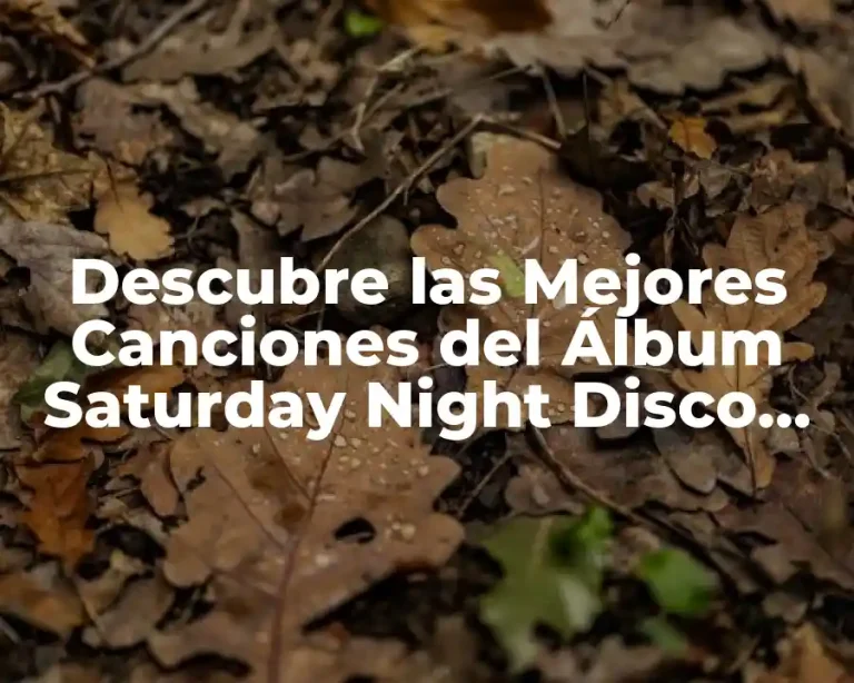 Descubre las Mejores Canciones del Álbum Saturday Night Disco de los 70