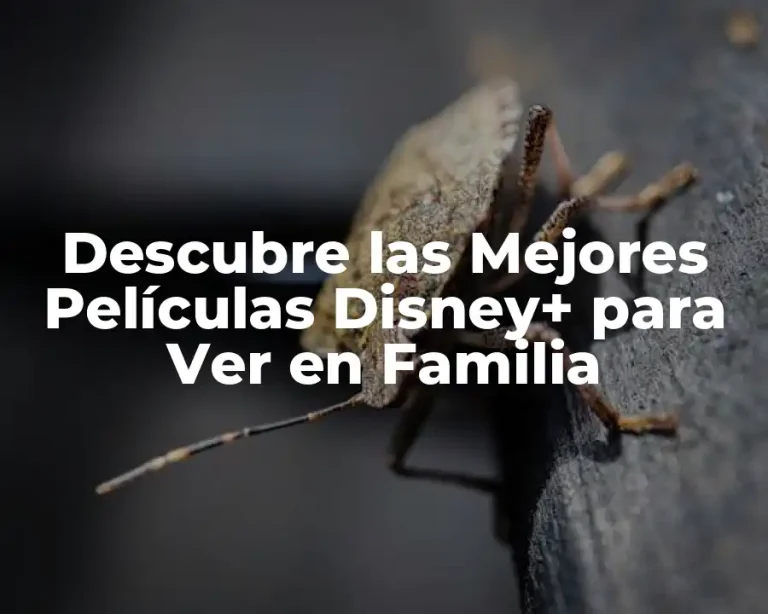 Descubre las Mejores Películas Disney+ para Ver en Familia