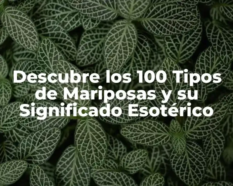 Descubre los 100 Tipos de Mariposas y su Significado Esotérico