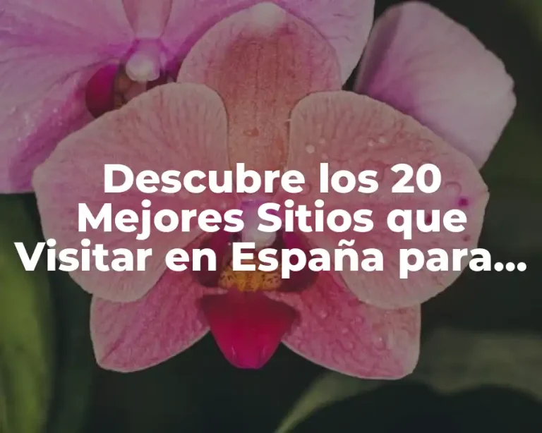 Descubre los 20 Mejores Sitios que Visitar en España para un Viaje Inolvidable
