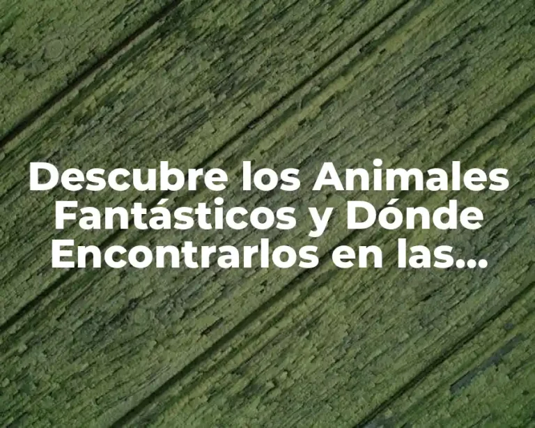 Descubre los Animales Fantásticos y Dónde Encontrarlos en las Películas