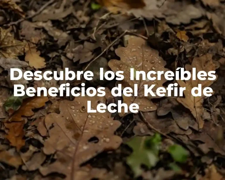 Descubre los Increíbles Beneficios del Kefir de Leche