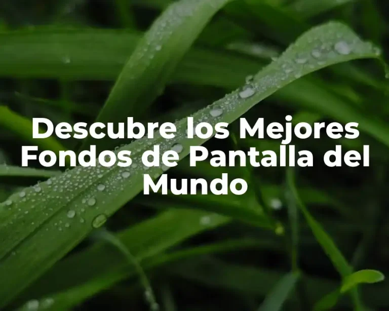 Descubre los Mejores Fondos de Pantalla del Mundo