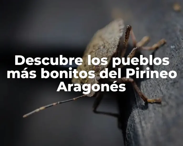 Descubre los pueblos más bonitos del Pirineo Aragonés