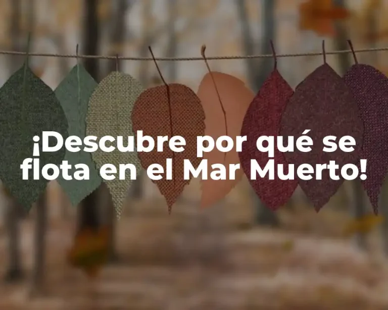 ¡Descubre por qué se flota en el Mar Muerto!