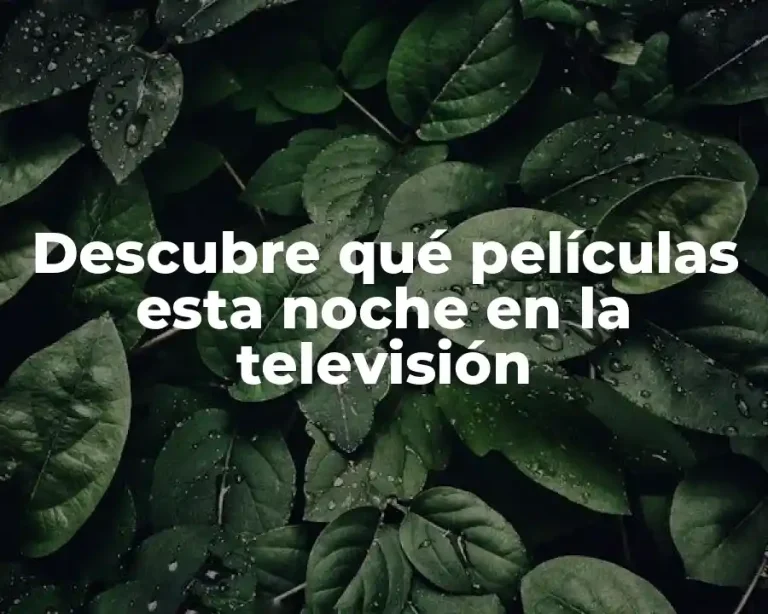 Descubre qué películas esta noche en la televisión