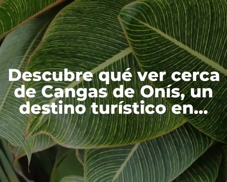 Descubre qué ver cerca de Cangas de Onís, un destino turístico en Asturias