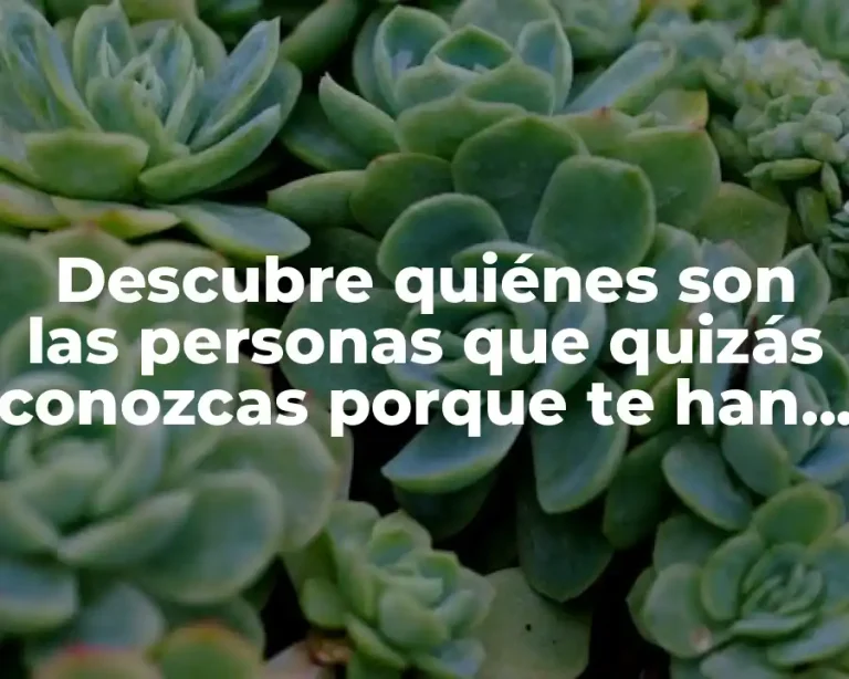 Descubre quiénes son las personas que quizás conozcas porque te han buscado
