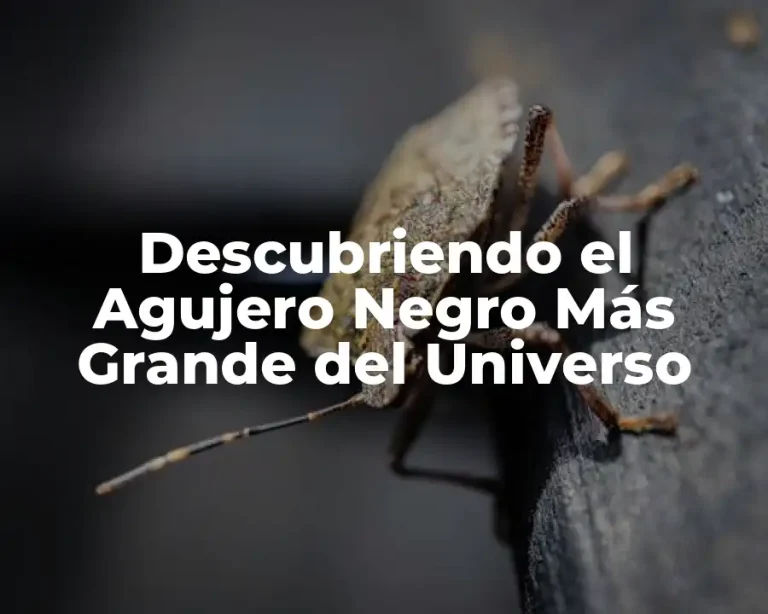 Descubriendo el Agujero Negro Más Grande del Universo