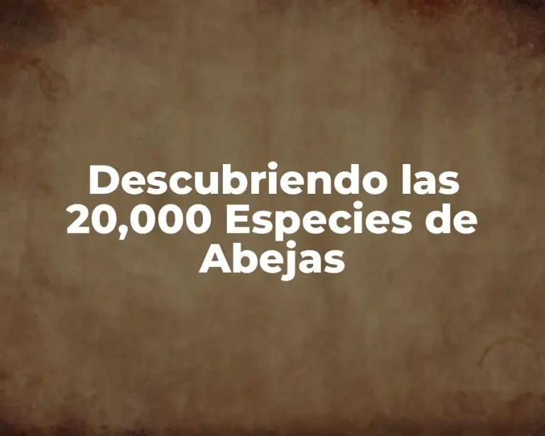 Descubriendo las 20,000 Especies de Abejas