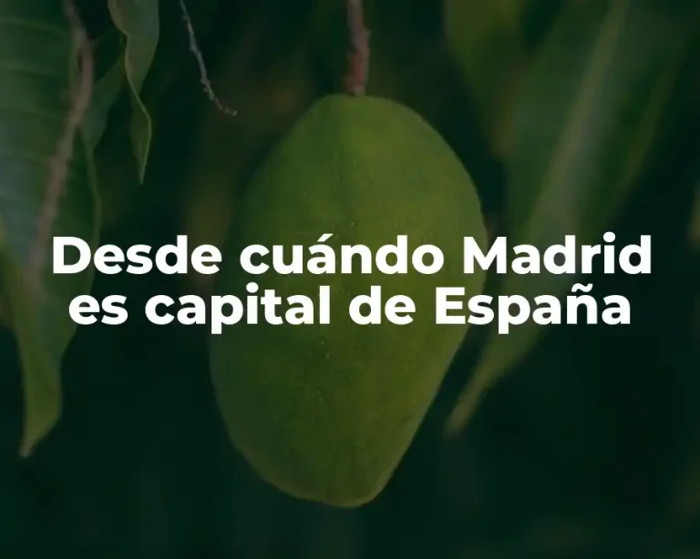 Desde cuándo Madrid es capital de España
